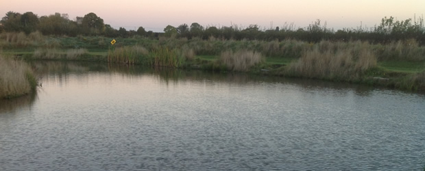 Eastfield Fisheries Breedon Lake