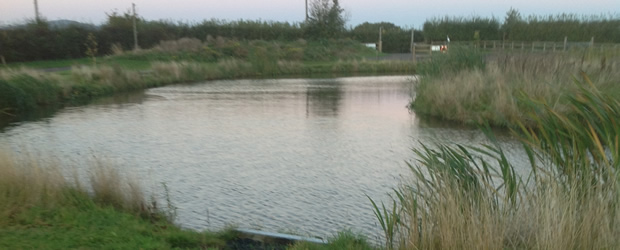 Eastfield Fisheries Malvern Lake