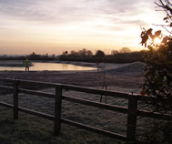 Eastfield Fisheries - Gallery image
